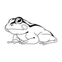 Black and White Line Drawing of a Frog in Side Profile