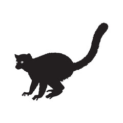 Obraz premium Black silhouette of a lemur isolated on white background