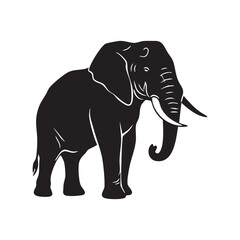 Fototapeta premium African elephant silhouette isolated on white background