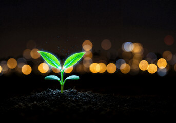 A vibrant green seedling sprouts from rich soil, highlighted against a blurred background of glowing city lights.