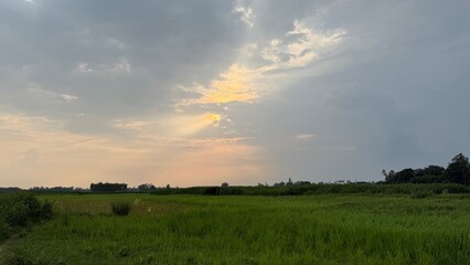 Fototapeta premium Sunlight streams through cloudy sky over a vast green field in rural Bangladesh