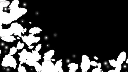 abstract black white splash background
