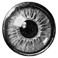 Eye isolated with retro halftone dots texture concept. Detailed close-up of a human eye showcasing intricate patterns.