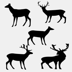 Black and white deer vector image