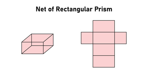 Net of Rectangular Prism in Mathematics. © SAMYA