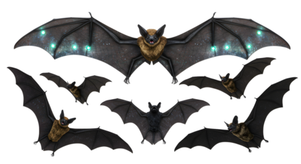 A collection of realistic bat illustrations showcasing various poses and angles, ideal for educational or wildlife projects