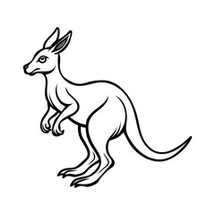Vector art of a kangaroo stands tall isolated on white background in a drawing