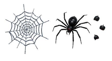 A detailed illustration of a spider and its intricate web, showcasing nature's design with a dark background