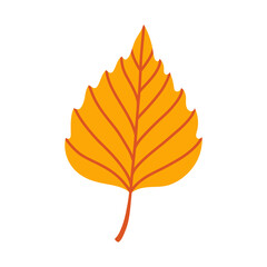 Orange birch leaf isolated on white background. Simple autumn fall leaf for pattern, banner, sticker. Hello autumn card. Flat vector illustration.