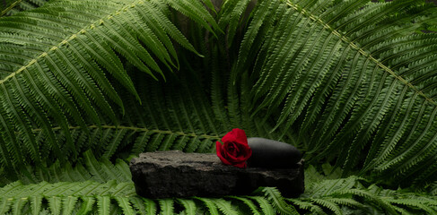 cosmetic background podium with natural stones