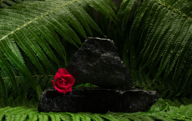 cosmetic background podium with natural stones