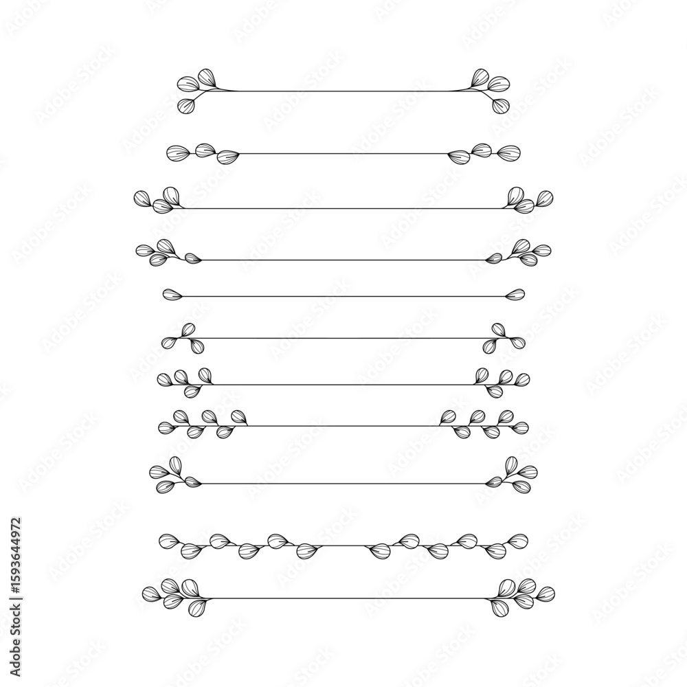 Fototapete floral eucalyptus line divider collection border for text layout separator decoration vector element