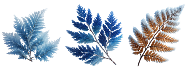 Beautiful Fern Leaves in Vivid Blue and Brown Tones for Nature Lovers