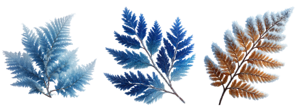 Beautiful Fern Leaves in Vivid Blue and Brown Tones for Nature Lovers
