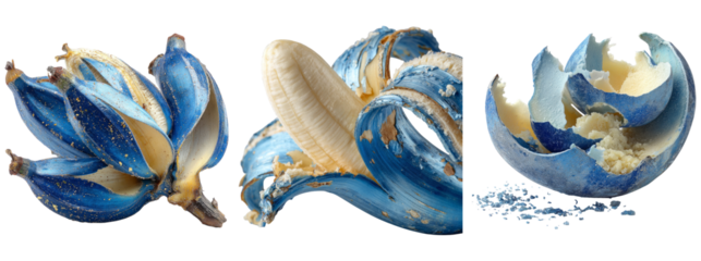 Abstract Blue Banana Art with Broken Shell and Unfolding Petals