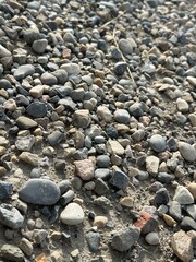 Outdoor Stone Surface Featuring Natural Pebbles
