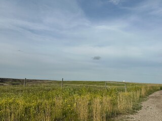 Farmland Hills with Fencing and Wide Horizon
