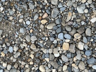 pebbles on the beach, Gravel Rock Road, Pebbles 