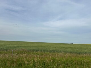 Obraz premium Rural Landscape with Open Skies in Western Canada