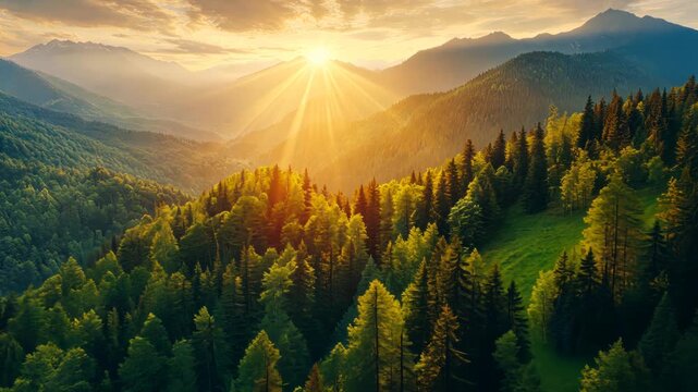 Majestic sunset over alpine forests. Aerial view of mountain ranges.  Possible use Nature, landscape, travel, wallpaper