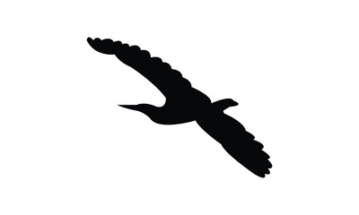 Flying American bittern bird Silhouette Design  And Vector Illustration. 