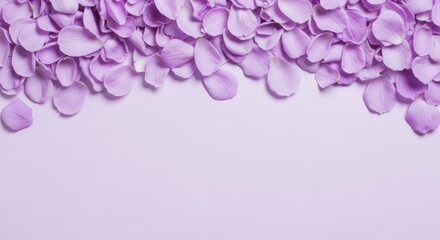 Obraz premium Photo of a cascade of delicate purple flower petals gently falling