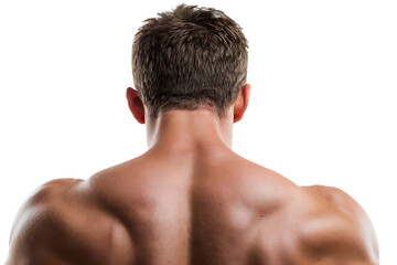 Muscular man's back, fitness, strength, bodybuilding