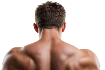 Muscular man's back, fitness, strength, bodybuilding