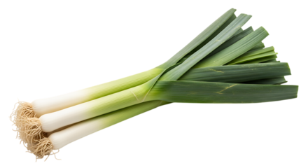 Fresh organic leeks with green stalks and white bulbs isolated on transparent background