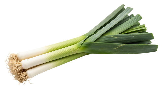 Fresh organic leeks with green stalks and white bulbs isolated on transparent background