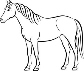 Obraz premium Simple line drawing of a horse standing on a white background plain