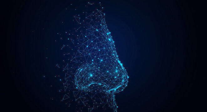 Digital nose illustration showcases a futuristic design with interconnected nodes and lines, creating a modern, technological representation of human anatomy.