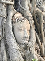 head of buddha