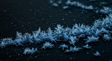 An minimalist  featuring icy textures and crystal formations. Focus on intricate frost patterns on a dark, cool blue light from the side, creating dramatic highlights and shadows. 