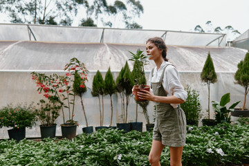 Young woman carrying a potted plant in a greenhouse, showcasing gardening passion, nature...