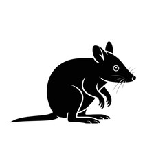Fototapeta premium Australian Bilby Silhouette marsupial Australian animal