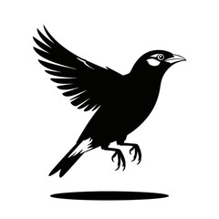 Obraz premium Bird in flight silhouette flying wings