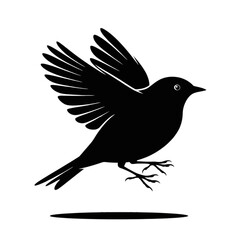 Obraz premium Bird in Flight Silhouette flying wings