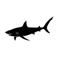 Obraz premium Great White Shark Swimming marine life ocean