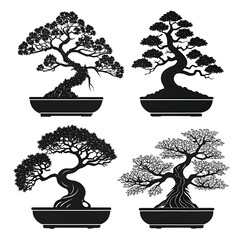 japanese bonsai tree