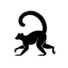 Obraz premium Lemur with Curled Tail primate animal