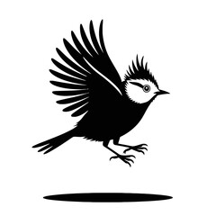 Obraz premium Majestic Bird in Flight flying wings