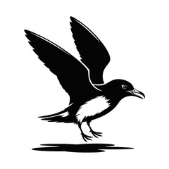 Obraz premium Petrel in flight landing bird flying