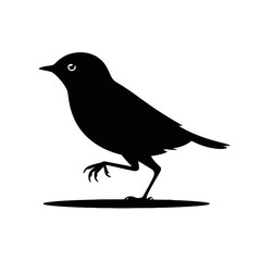Obraz premium Small Bird Silhouette avian perched