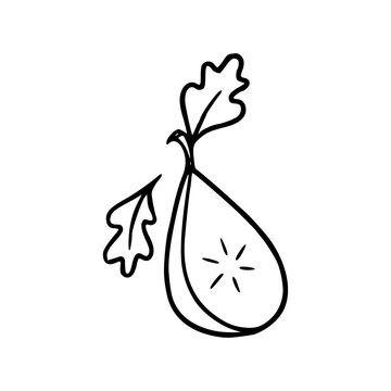 hand-drawn nature symbol