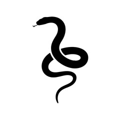 Woman Dancing Ballet dancer female