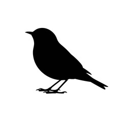 Obraz premium Woman Dancing Ballet dancer female