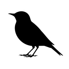 Obraz premium Woman playing tennis sport player