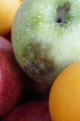 mold apple and orange in a basket 