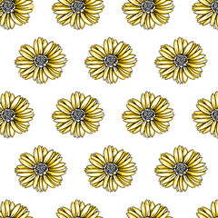 Coreopsis flower Seamless Pattern Hand drawn vector line art, Black and Yellow Flower isolated in white. Beautiful design for textile, wallpaper, wrapping paper